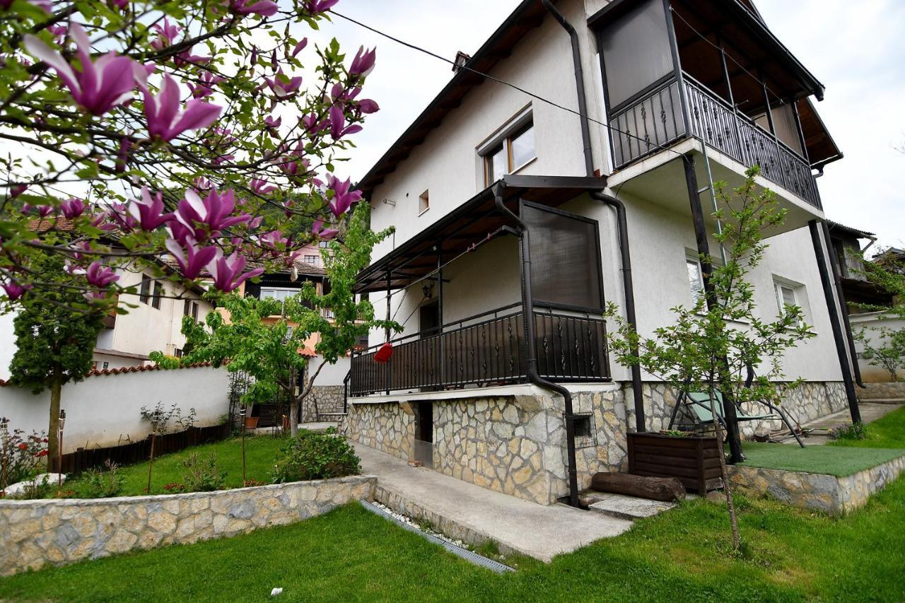Ferienwohnung Garden Of Dreams & Free Private Parking SJJ Exterior foto